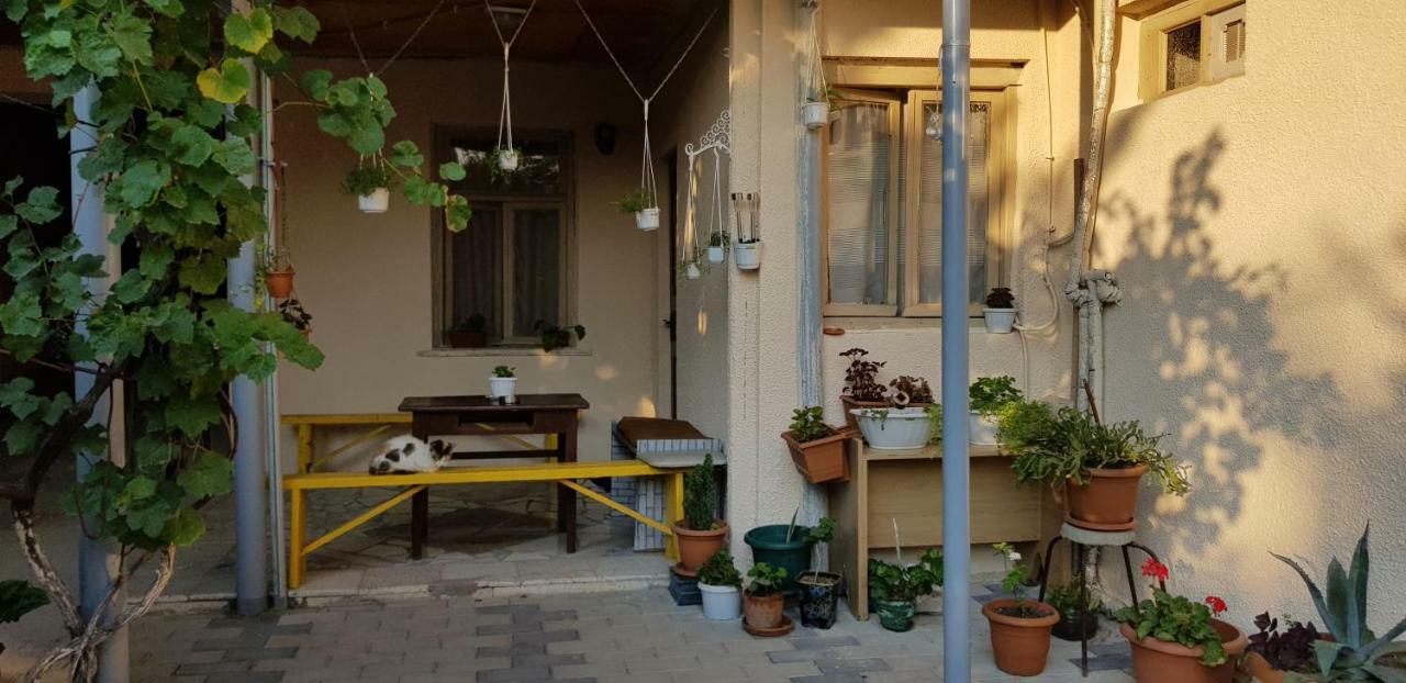 Домик У Реки Куры Tbilisi Exteriör bild